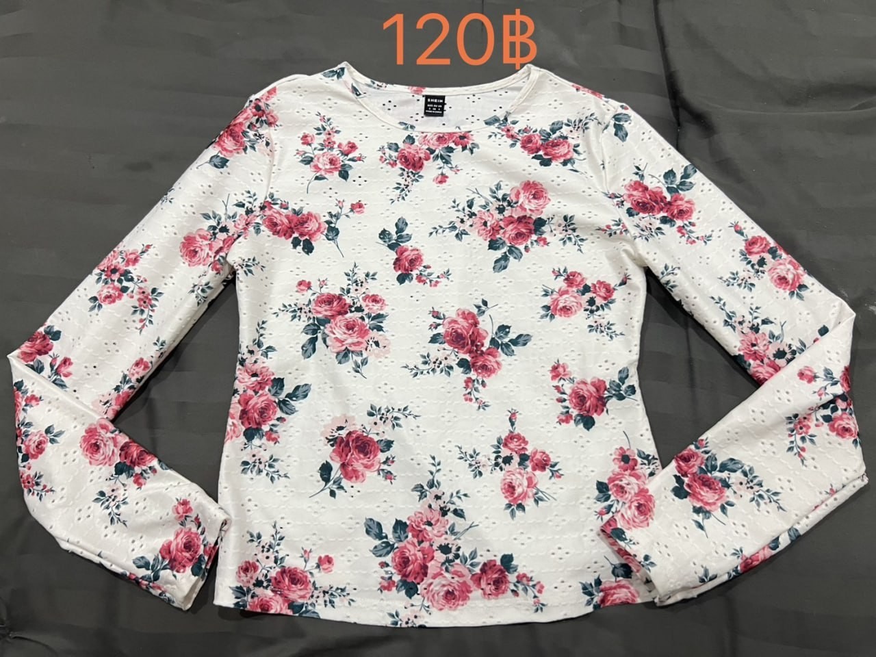  R91579