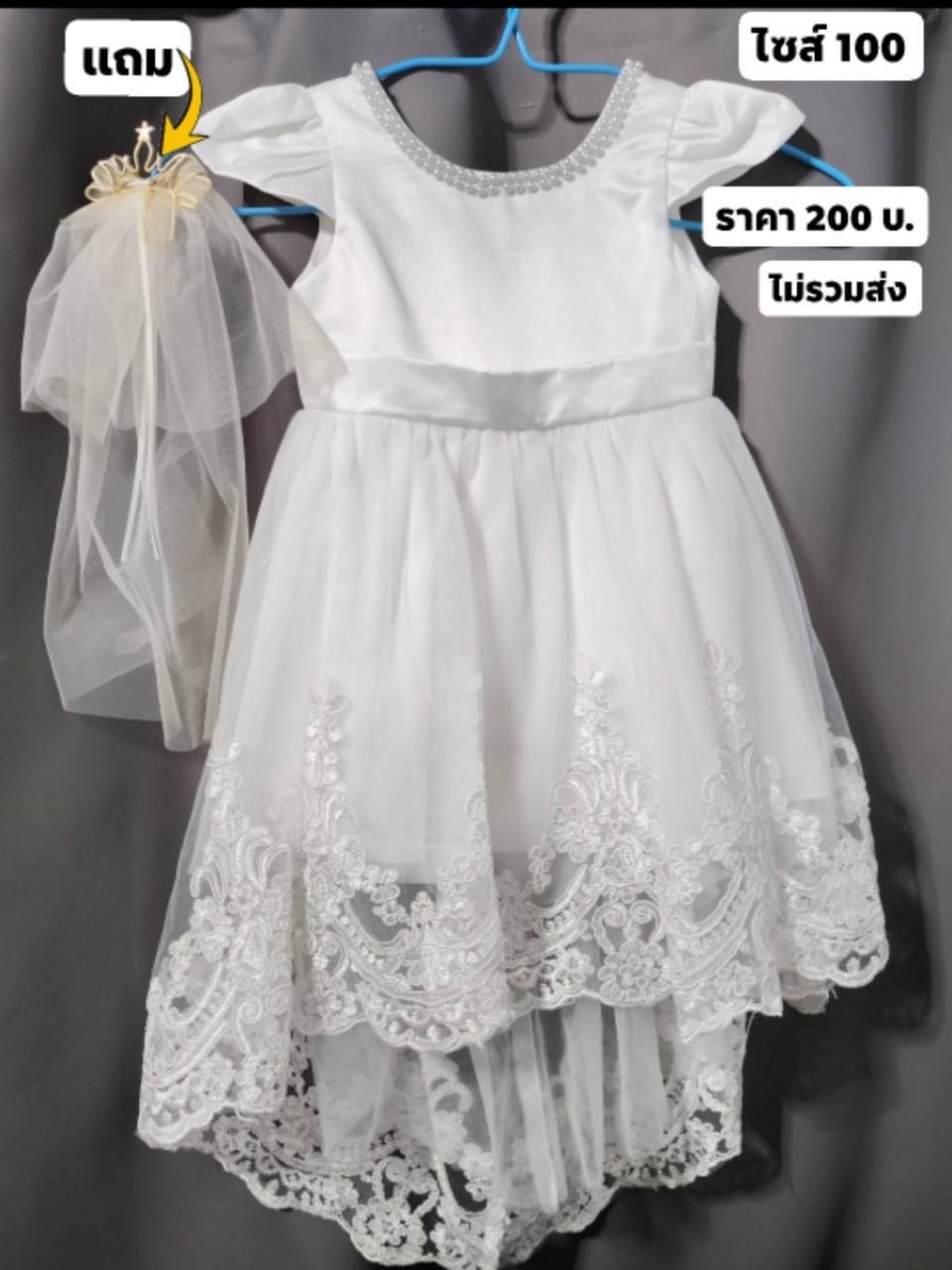 SHOP-B080/01